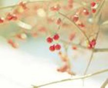 念珠菌性陰道炎5