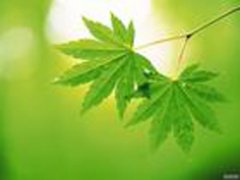 陰道整形手術(shù)