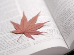 什么叫滴蟲性陰道