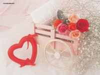 無痛人流的手術(shù)步驟