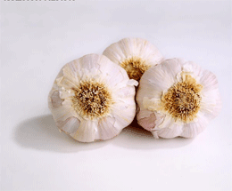 哪些食物可以預防霉菌性陰道炎