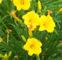 天津靜海婦科人流專業醫院