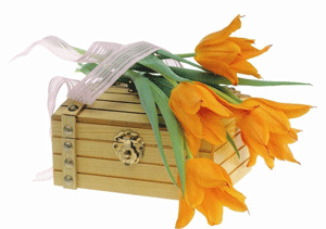 天津靜海哪家醫院治療盆腔炎不會復發