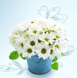 河南天津靜海人流哪個(gè)醫(yī)院好